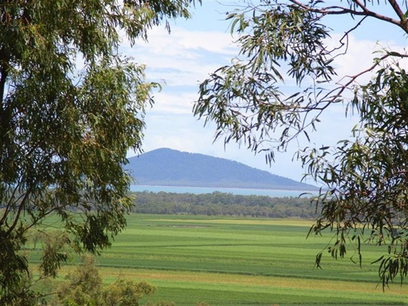 174 Howlands Road, Ilbilbie QLD 4738