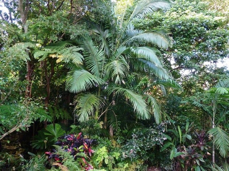 11 Urarii Crescent, Shoal Point QLD 4750