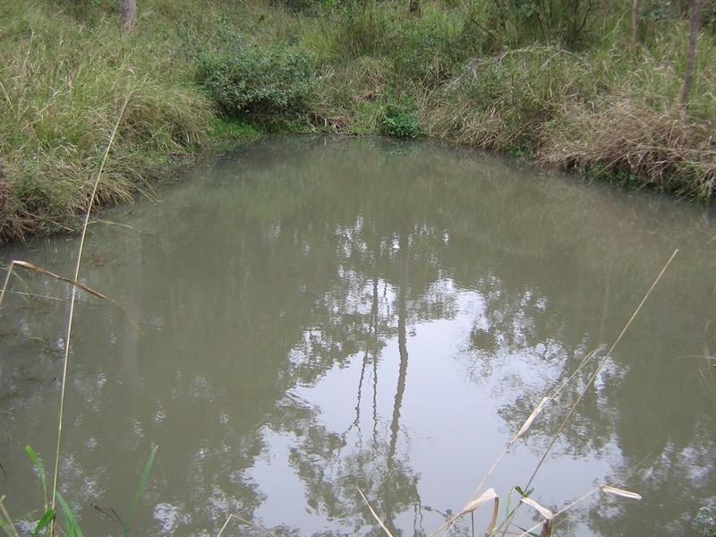 8 Galea Court, Habana QLD 4740