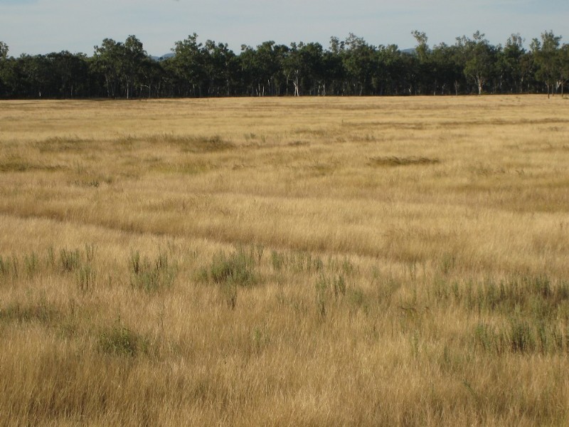 Lot 1 Peak Downs Highway, Nebo QLD 4742