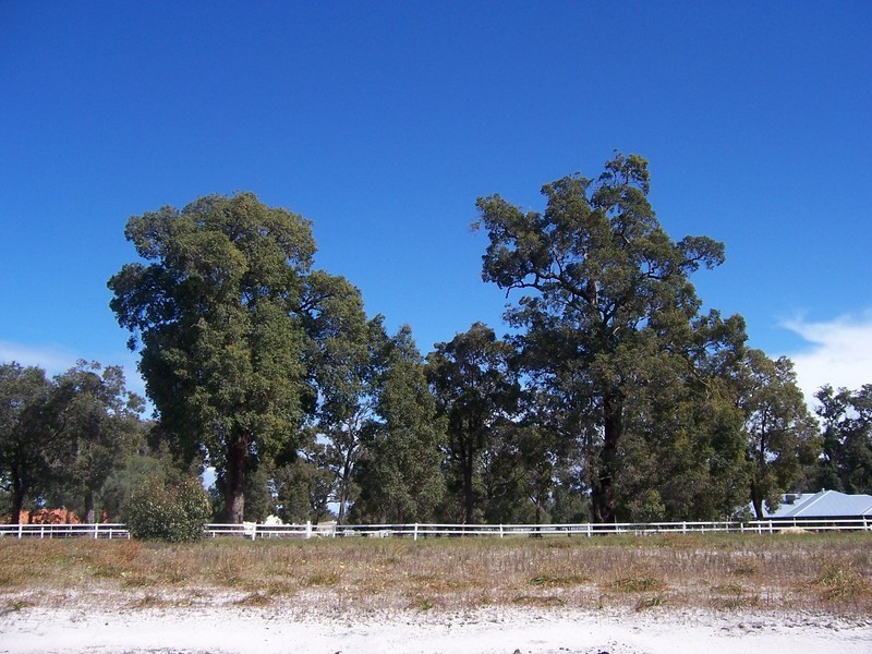 7/115 Rigg Road, Myalup WA 6220