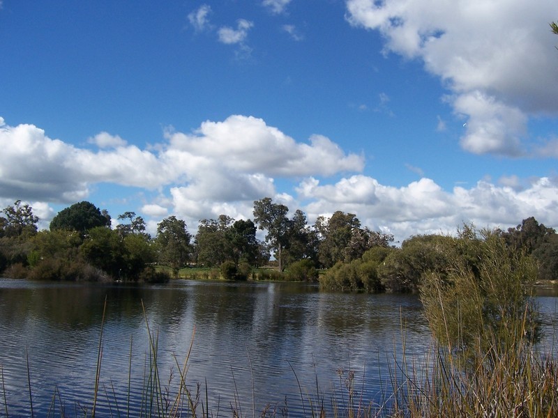 7/115 Rigg Road, Myalup WA 6220