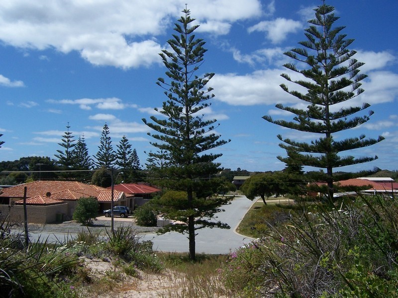 19 Treasure Road, Singleton WA 6175