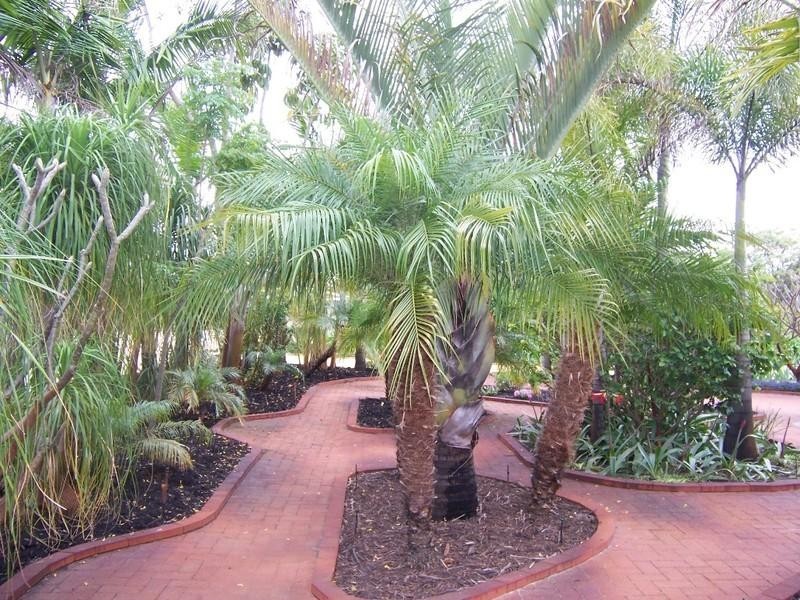 Lot 525 Lakes Road, Barragup WA 6209