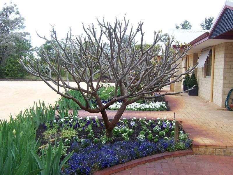 Lot 525 Lakes Road, Barragup WA 6209