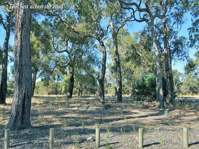 53 Len Howard, Erskine WA 6210