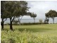 17 Governor Drive, Falcon WA 6210