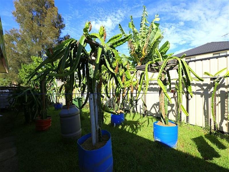 5/60 Olive Street, Condell Park NSW 2200