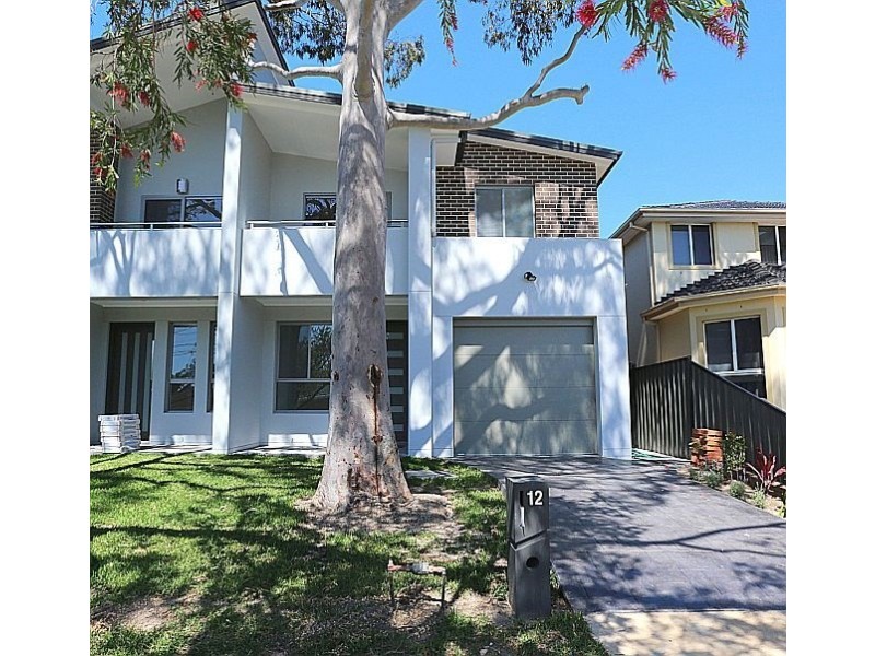 12 Carey Street, Bass Hill NSW 2197