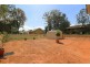 11/12-14 Dellwood Street, Bankstown NSW 2200