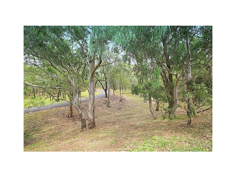 110 Lucinda Avenue, Bass Hill NSW 2197