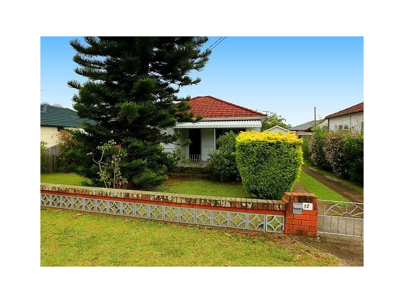 12 Doust Street, Bass Hill NSW 2197