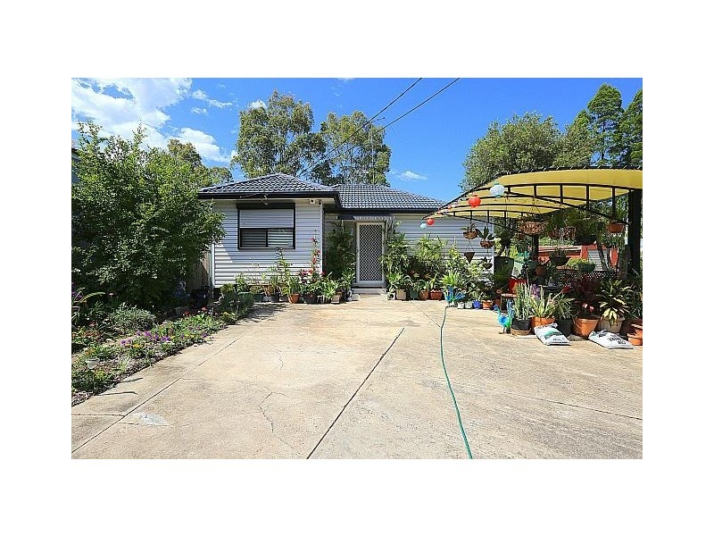 51 Virginius Street, Padstow NSW 2211