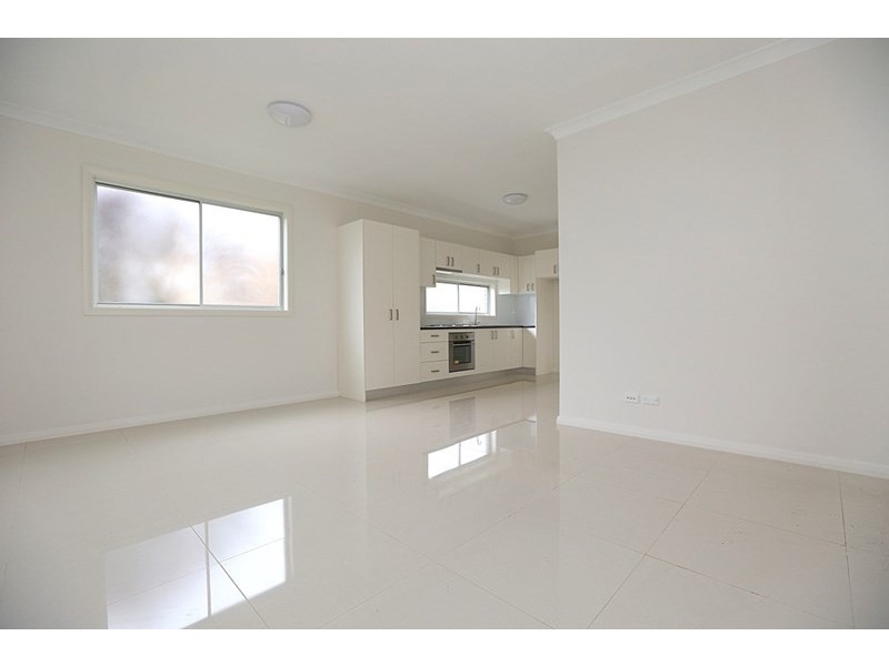 14a Cooeeyana Parade, Mount Lewis NSW 2200