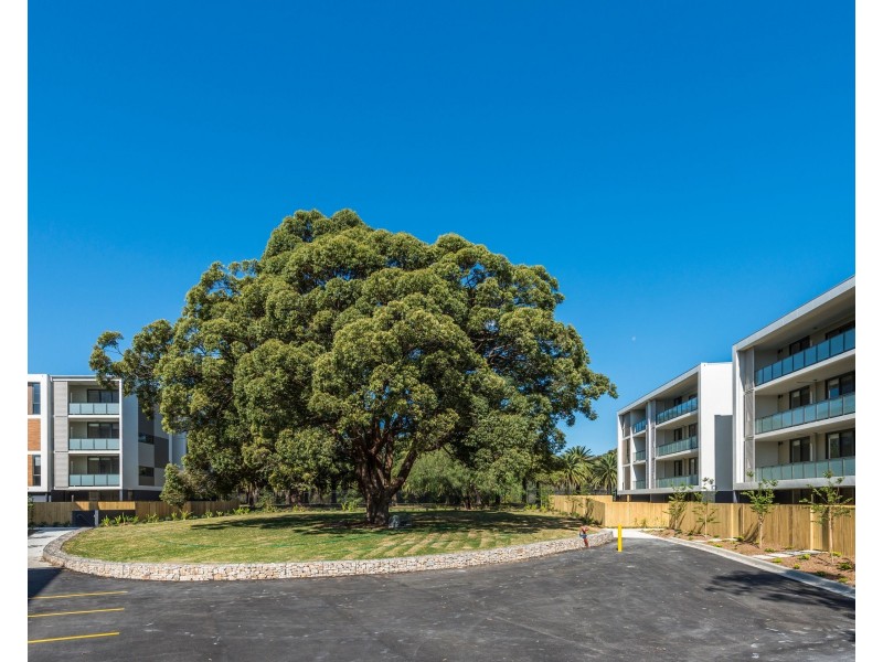 B102/17 Hanna Street, Potts Hill NSW 2143