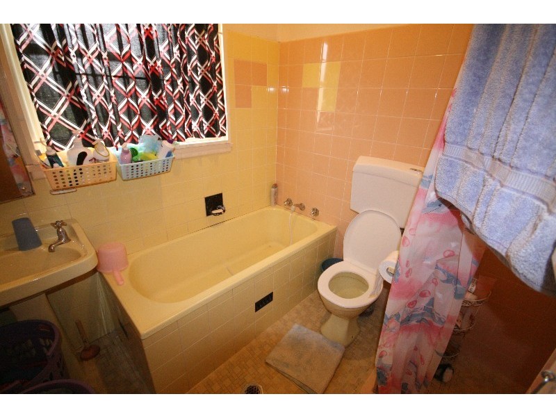 11 Burton Avenue, Chester Hill NSW 2162