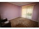 3 Petunia Avenue, Bankstown NSW 2200