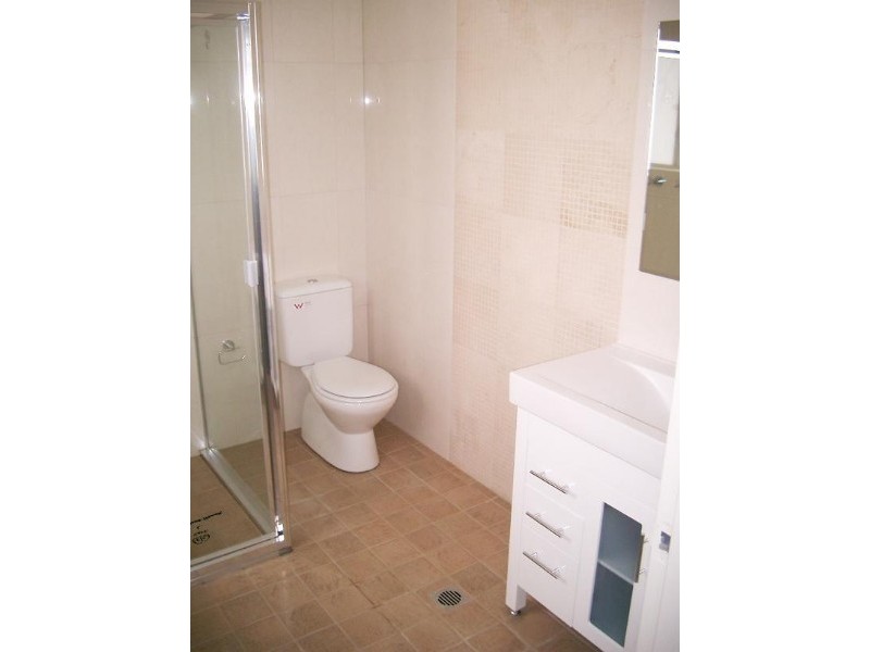 13A Bouvardia Street, Punchbowl NSW 2196