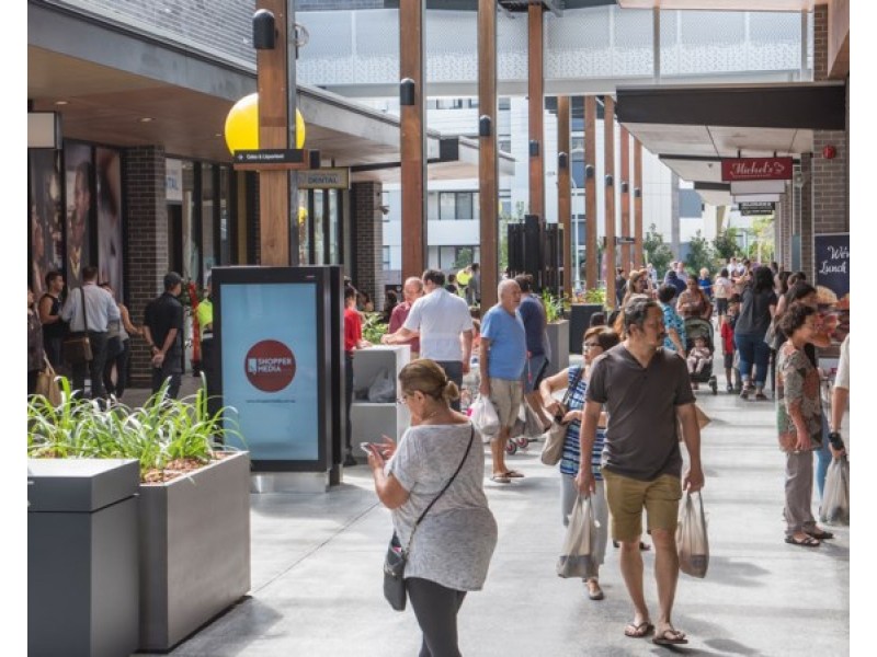 22 Jarrett Street, Clemton Park NSW 2206