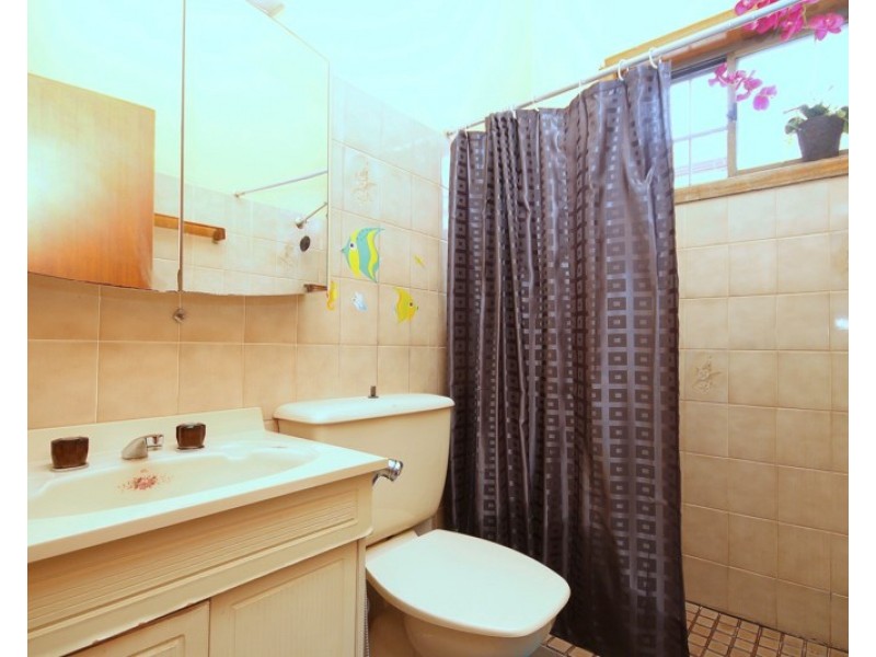 23 Rose Street, Punchbowl NSW 2196