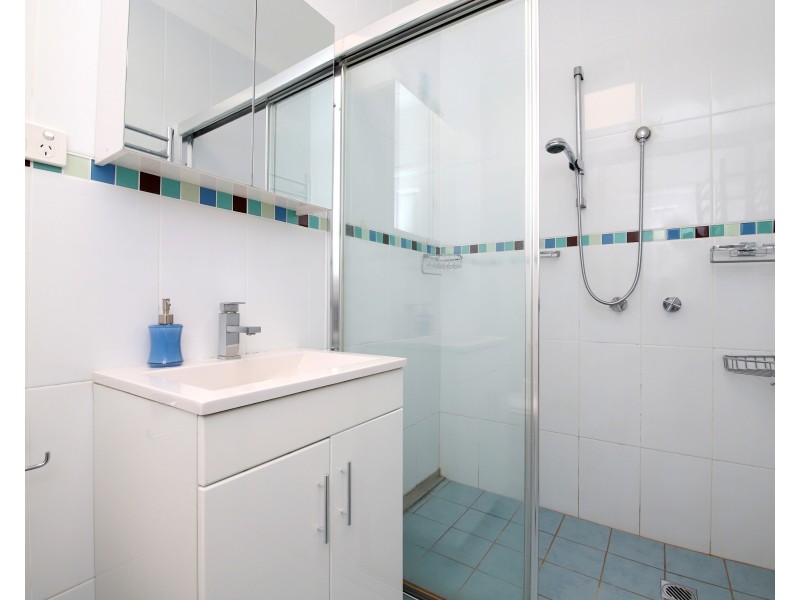 20 McCrossin Avenue, Birrong NSW 2143