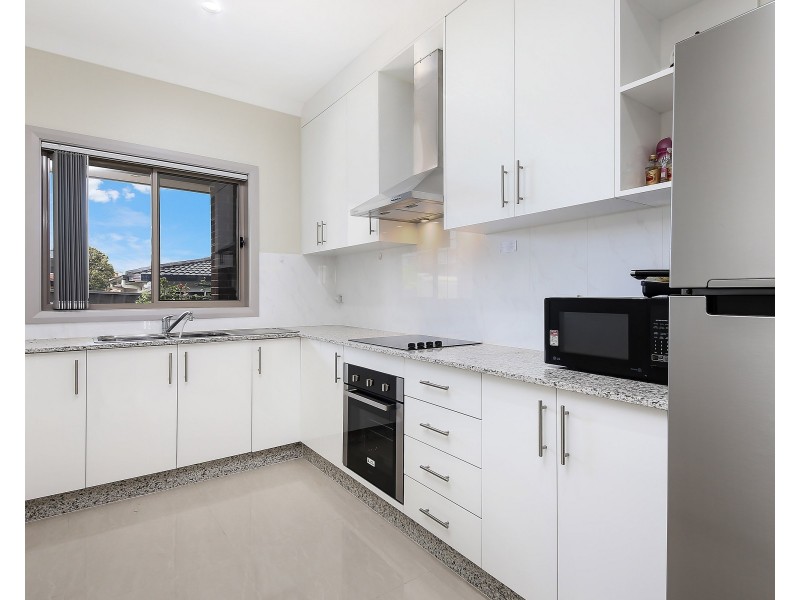 41 Catherine Street, Punchbowl NSW 2196