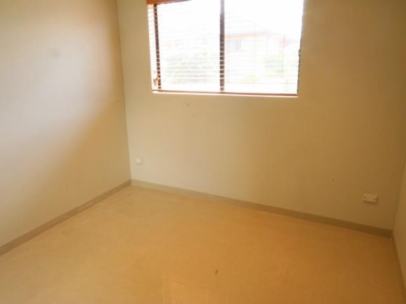 Mount Lewis NSW 2190