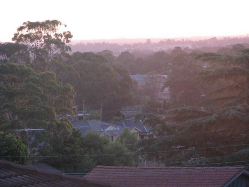 Georges Hall NSW 2198