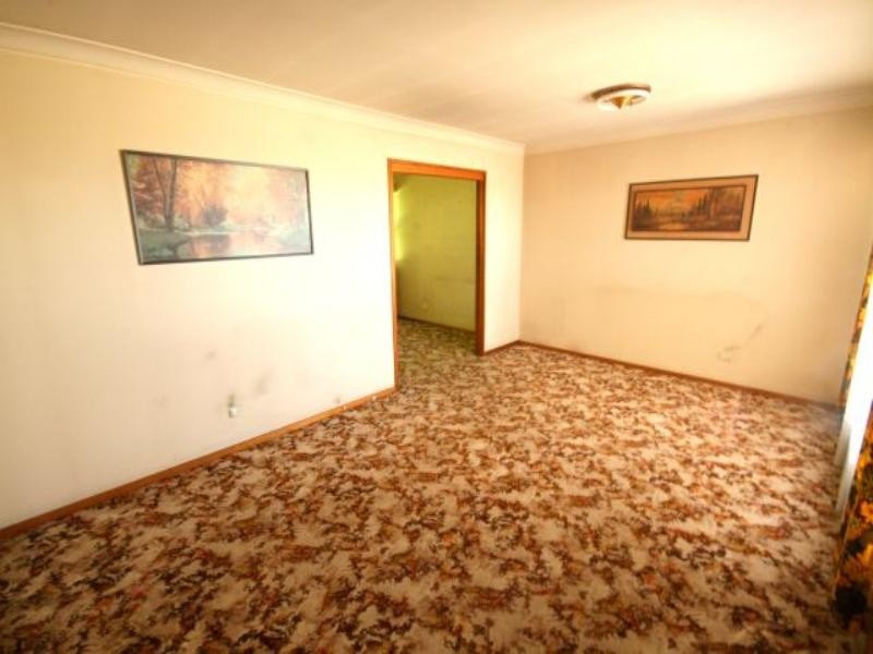 119 Amaroo Avenue, Georges Hall NSW 2198