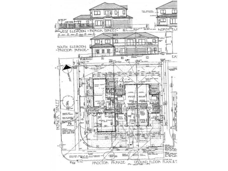 98 Proctor Parade, Chester Hill NSW 2162