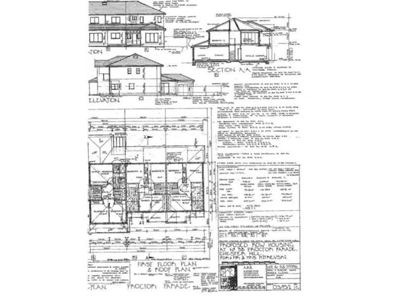 98 Proctor Parade, Chester Hill NSW 2162