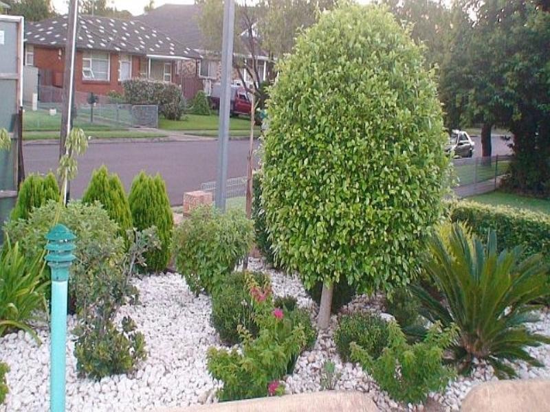 Condell Park NSW 2200