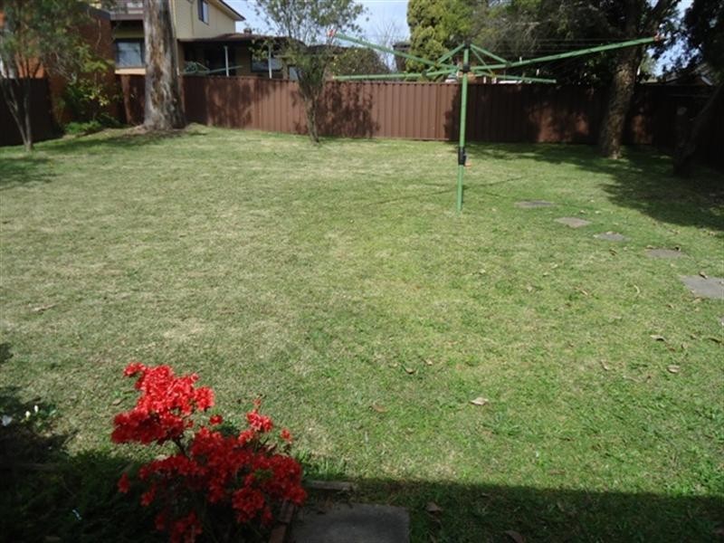 Hall NSW 2198 the real estate agency Leased