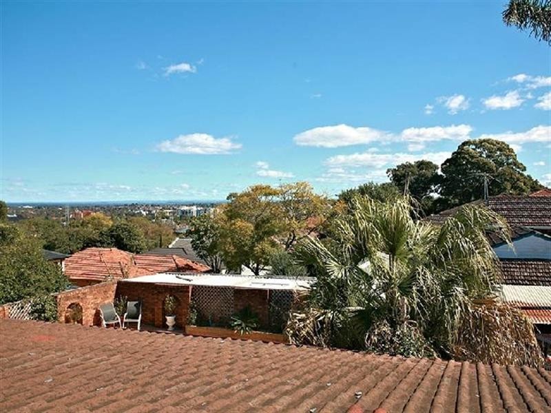 3 Salamander Place, Mount Lewis NSW 2190