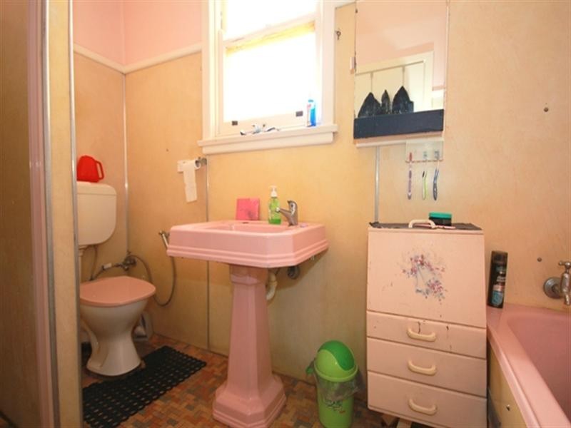 13 Sunny Crescent, Punchbowl NSW 2196