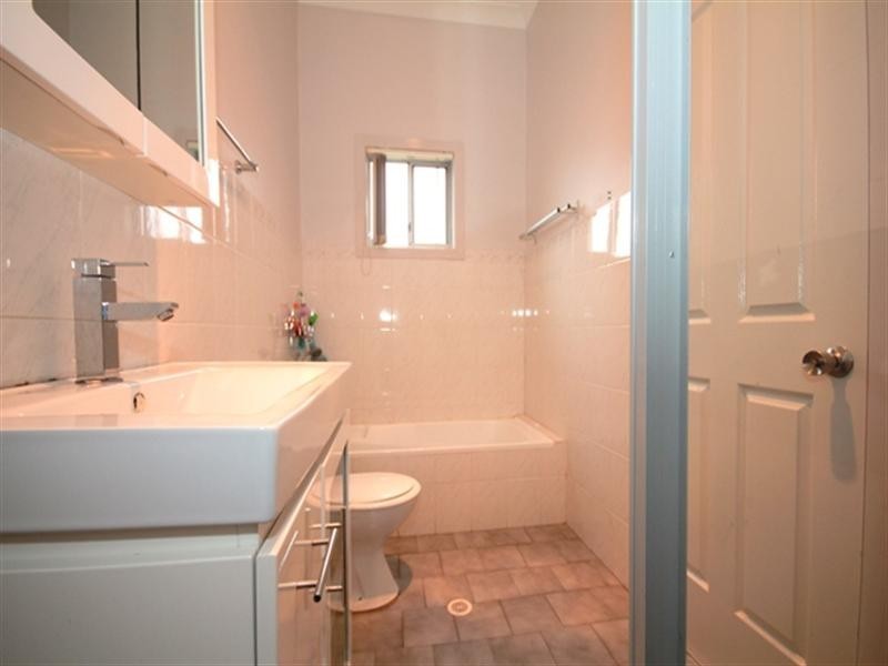 169 Banksia Road, Greenacre NSW 2190