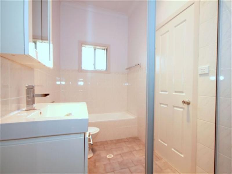 169 Banksia Road, Greenacre NSW 2190