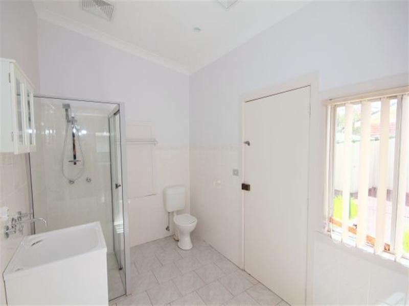 169 Banksia Road, Greenacre NSW 2190