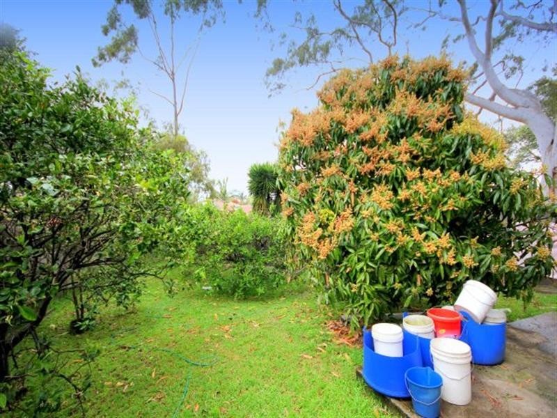 69 Martin Street, Roselands NSW 2196