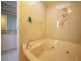 54 Marden Street, Georges Hall NSW 2198