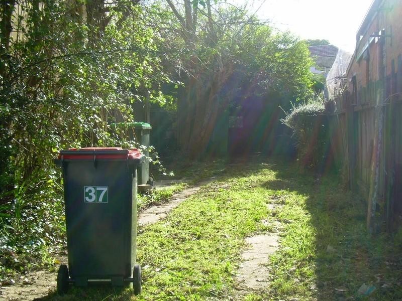 37 Francis Street, Marrickville NSW 2204