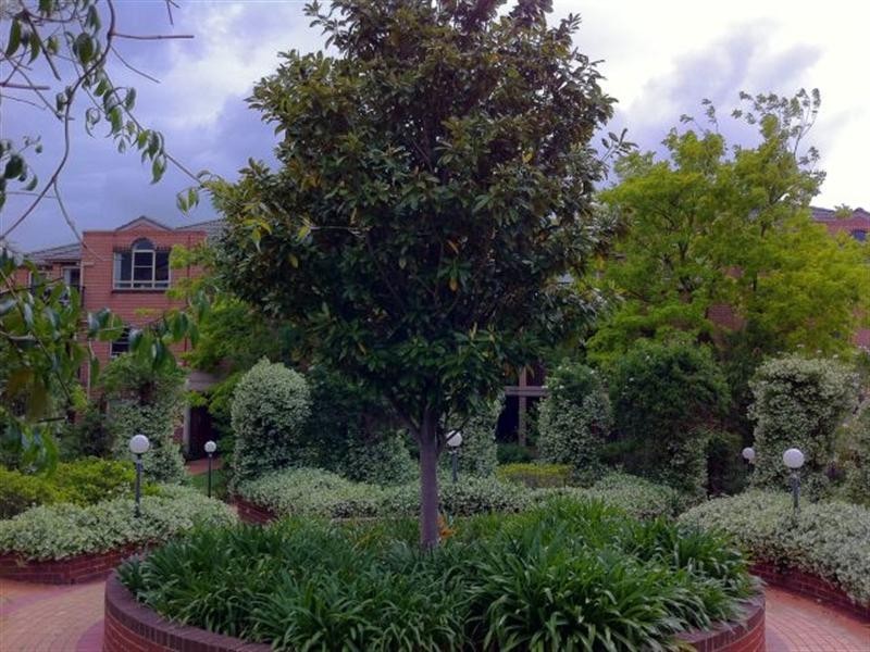 7/18 Cecilia Street, Marrickville NSW 2204