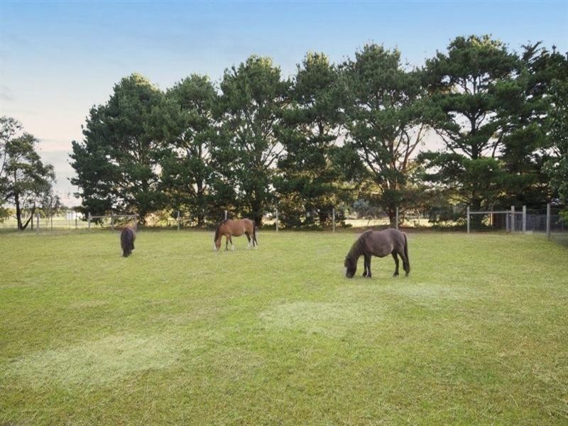 99 Redgum Drive, Teesdale VIC 3328