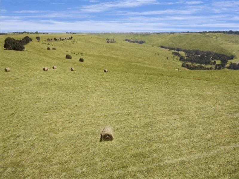 10 Perdrisat Road, Maude VIC 3331