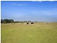 3263 Hamilton Highway, Inverleigh VIC 3321