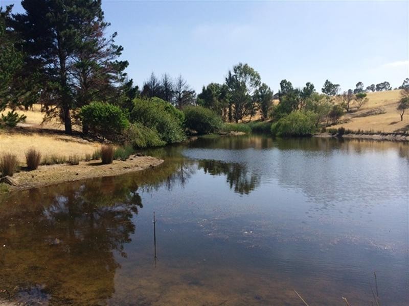 21 Reserve and Russell Lane, Corindhap VIC 3352