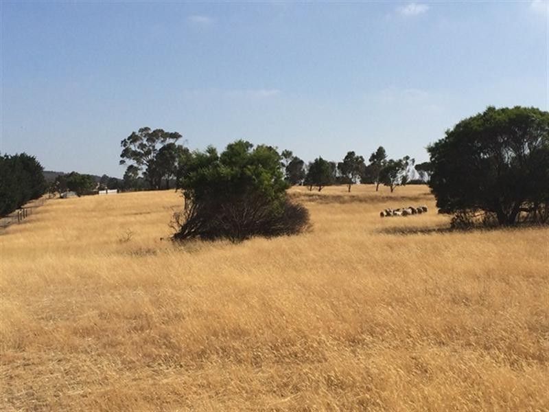 21 Reserve and Russell Lane, Corindhap VIC 3352