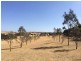 21 Reserve and Russell Lane, Corindhap VIC 3352