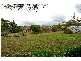 1670 Hamilton Highway, Murgheboluc VIC 3221