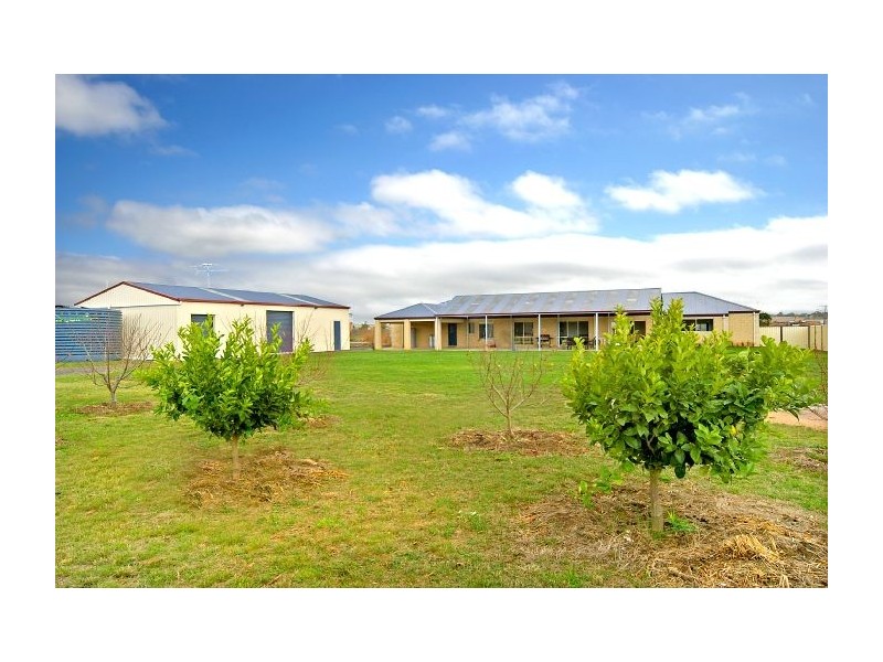 3 Lucien Place, Bannockburn VIC 3331